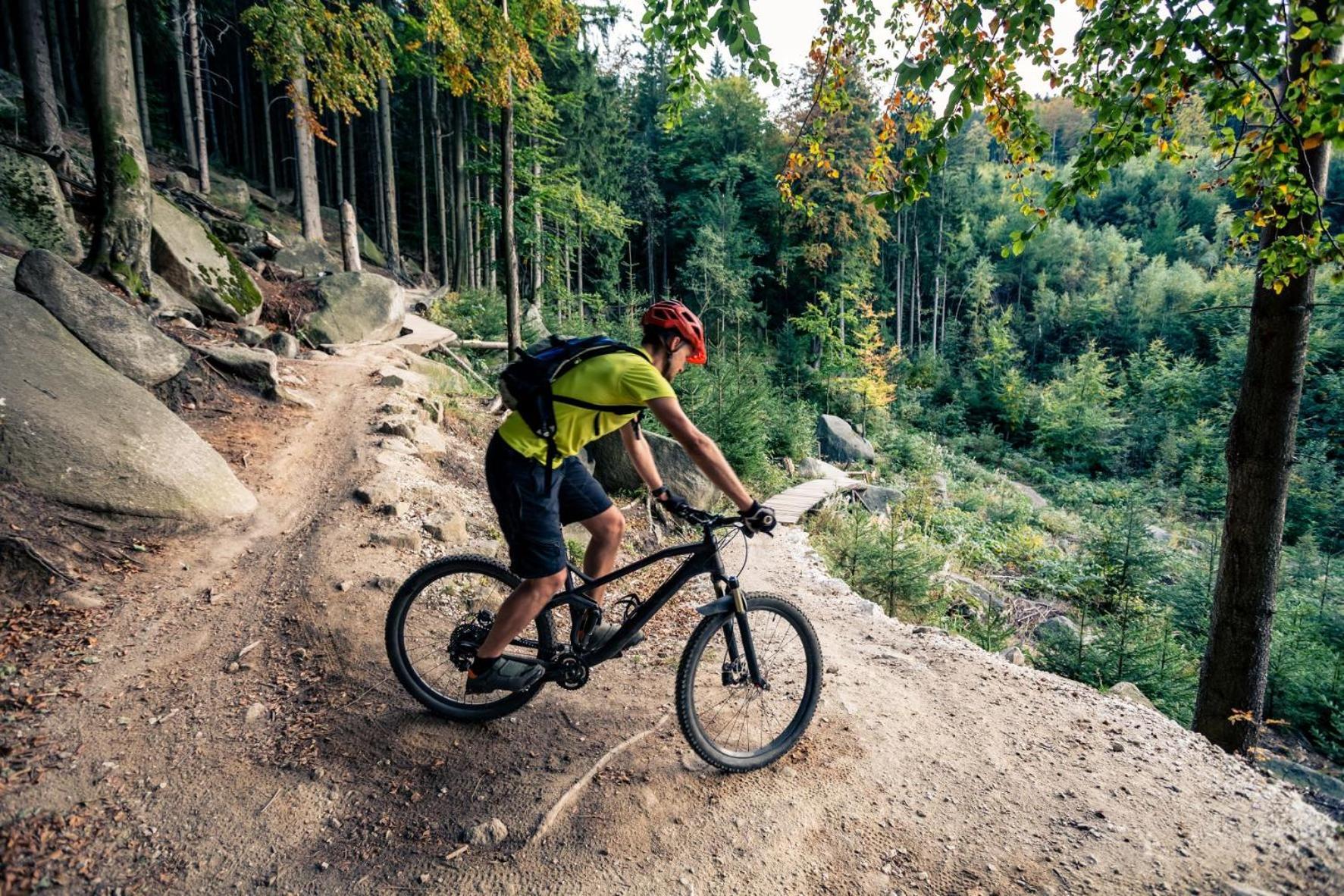Elements Hotel&Spa Swieradow-Zdroj Ngoại thất bức ảnh A mountain biker riding a trail